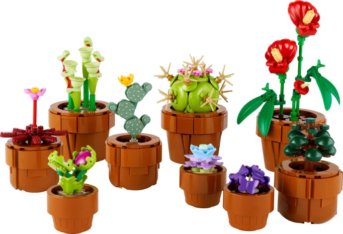 Zdjęcie galerii dla zestawu LEGO Botanical Collection Kwitnący kaktus Kwiaty doniczkowe