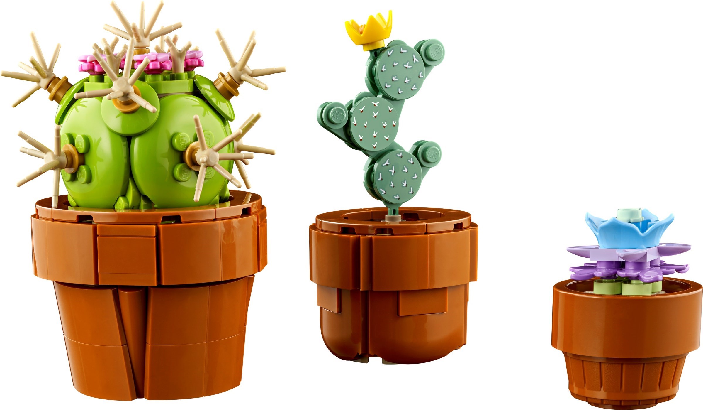 Zdjęcie galerii dla zestawu LEGO Botanical Collection Kwitnący kaktus Kwiaty doniczkowe