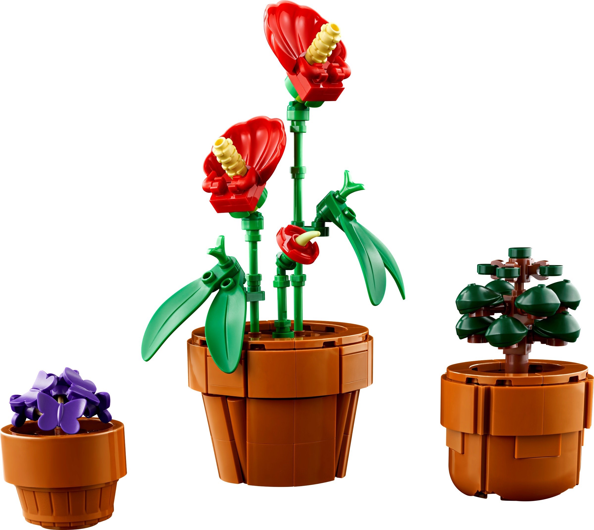 Zdjęcie galerii dla zestawu LEGO Botanical Collection Kwitnący kaktus Kwiaty doniczkowe