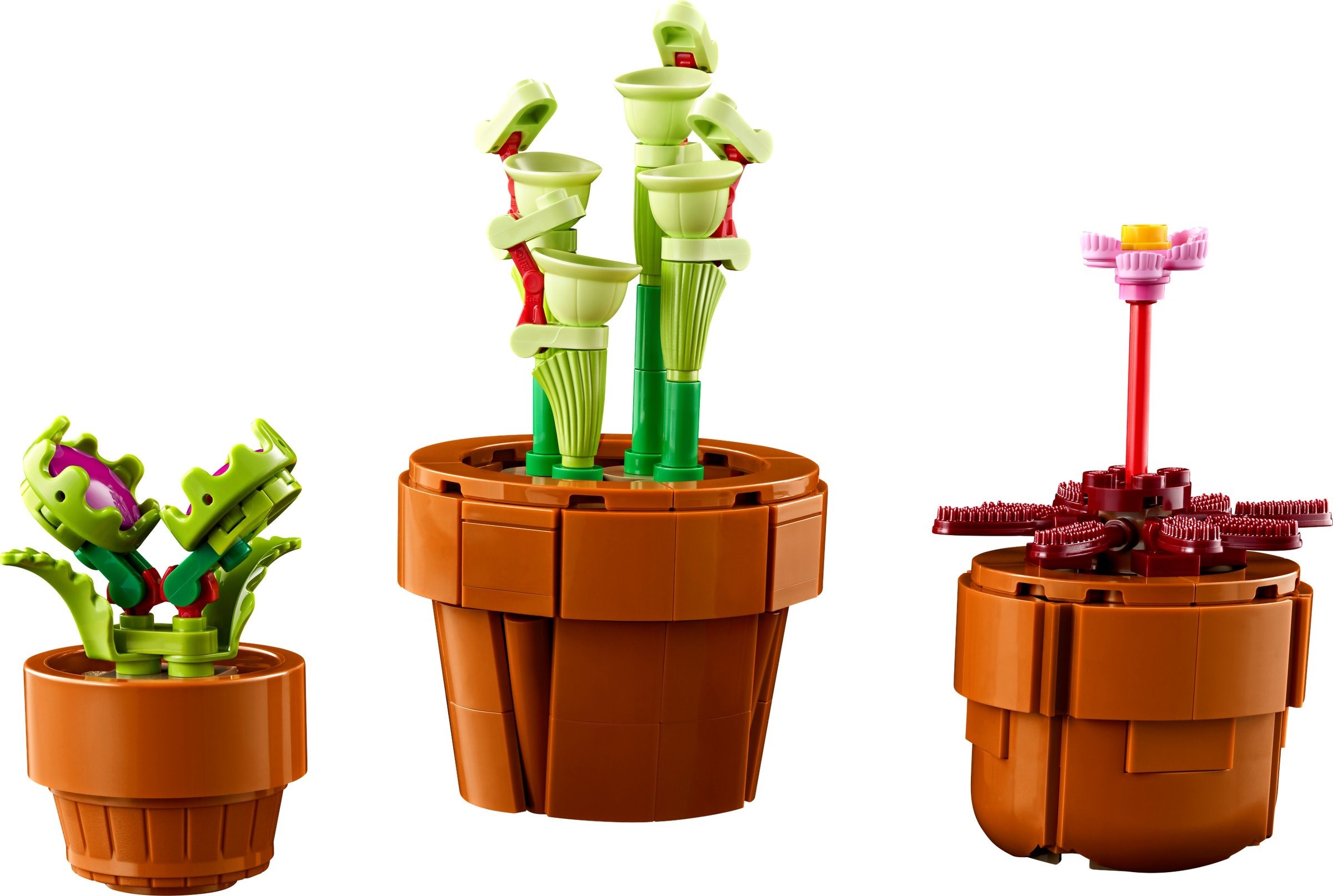 Zdjęcie galerii dla zestawu LEGO Botanical Collection Kwitnący kaktus Kwiaty doniczkowe