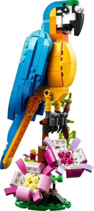 Zdjęcie galerii dla zestawu LEGO CREATOR 3W1 EGZOTYCZNA PAPUGA RYBA ŻABA